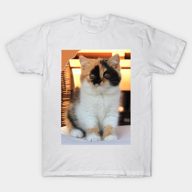 love cute cats T-Shirt by kunasin